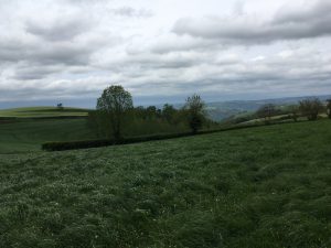 La campagne autour de Decazeville après la pluie. 