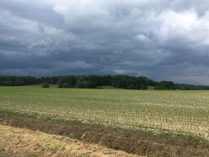 Avant l'orage. 