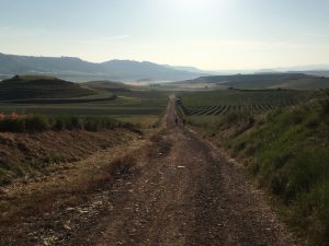 Le ruban entre la Rioja et Castille et Léon.