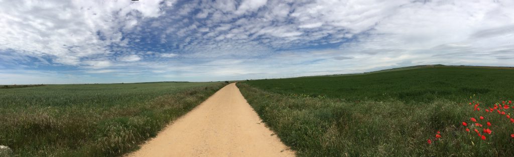 Le Chemin, dans la Meseta. 