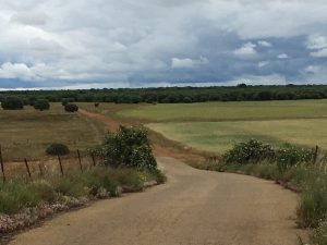 La Via Trajana à Calzada del Coto